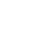 logo-white